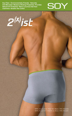 organic underwear for men 2xist soy briefs