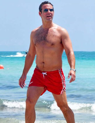 andy cohen swimsuit shorts