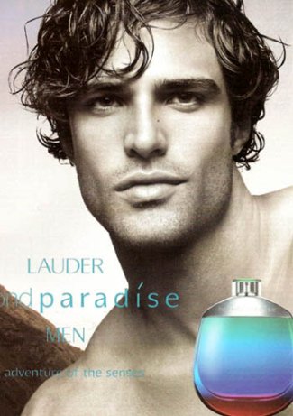french canadian male models - thierry pepin lauder perfume