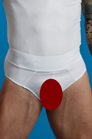 body trimmer briefs underwear for men