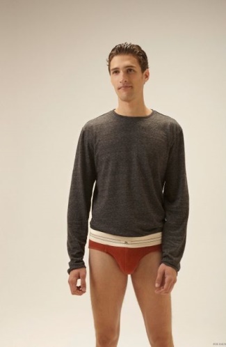 mens briefs 2015 - Fox-Haus-Mens-Underwear