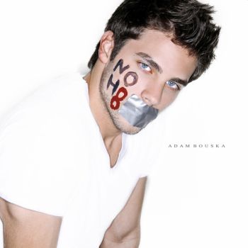 brant daugherty gay ally noh8 campaign
