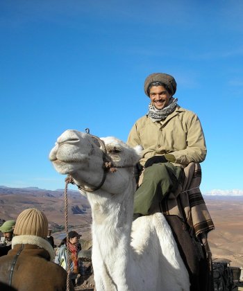 mido hamada riding camel